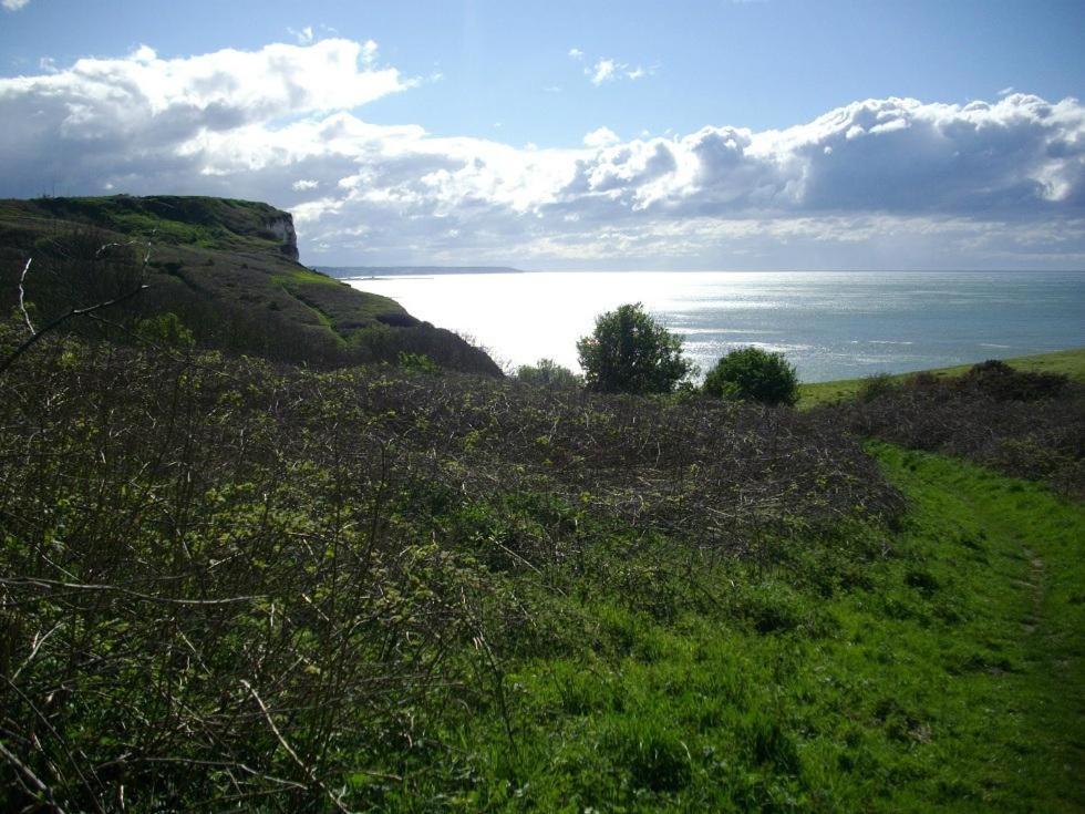 Villa Les Falaises Berneval-le-Grand Eksteriør bilde