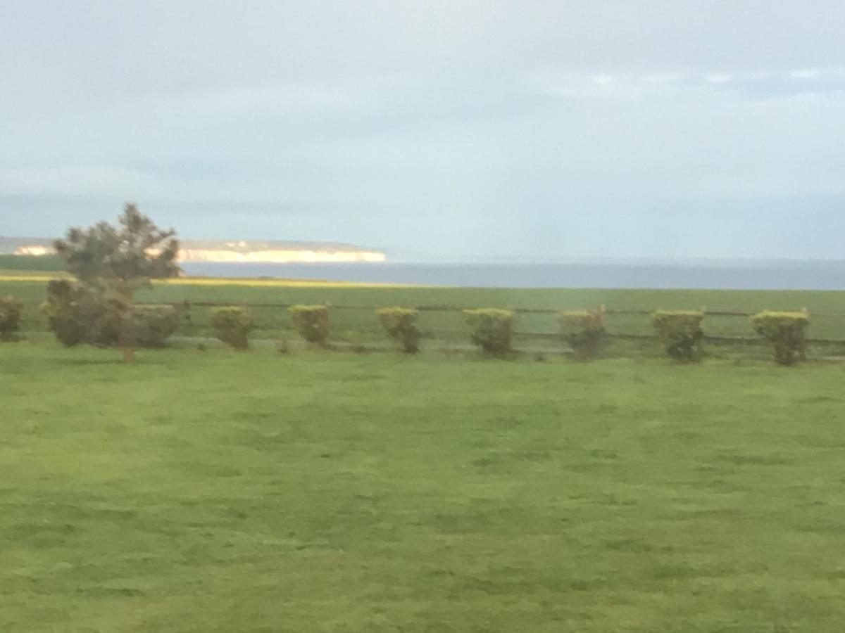 Villa Les Falaises Berneval-le-Grand Eksteriør bilde