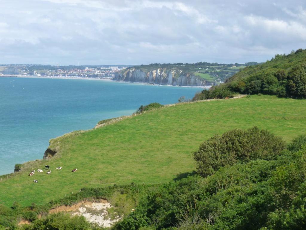Villa Les Falaises Berneval-le-Grand Eksteriør bilde