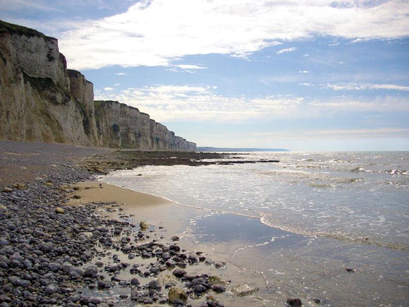 Villa Les Falaises Berneval-le-Grand Eksteriør bilde